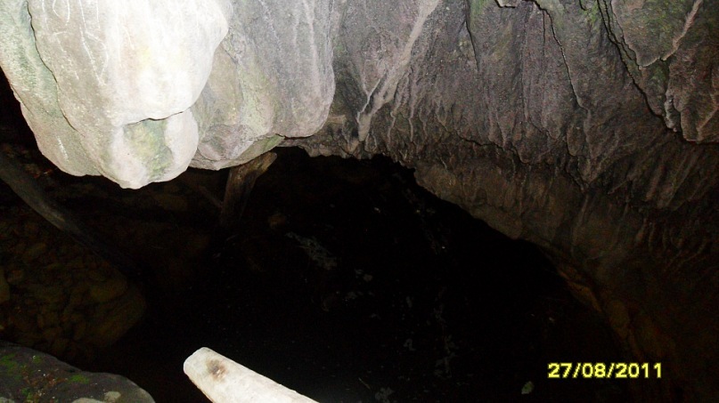 Ольга С фотография #44