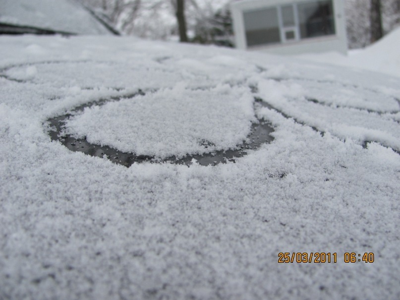 Ольга С фотография #11