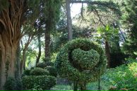 Αнна Κалашникова фотография #28 (источник - https://vk.com/id84410140)