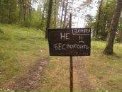 Фотография Корневой Полины