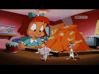 Пинки, Элмайра и Брейн (5 сезон 4 Серия)