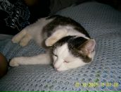 Фотография Севастьяновой Людмилы