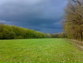 Іван Кобрин фотография #33 (источник - https://vk.com/id82689749)