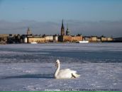 Фотография Малаховой Натальи