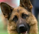 Гріша Мацков фотография #44 (источник - https://vk.com/id89545862)