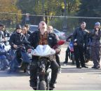 Фотография Телеги Дмитрия