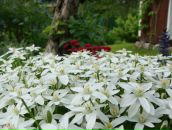 Фотография Басовой Ольги