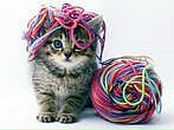 Илона Пугач фотография #3 (источник - https://vk.com/id76980932)