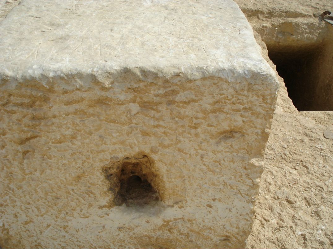 Дмитрий Лаёв фотография #22