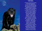 Фотография Гараниной Татьяны