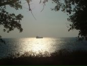 Фотография Борисовой Юлии