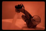 Фотография Ку Фил