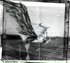 Фотография Omer Alex