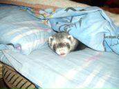 Дима Сергеевич фотография #22 (источник - https://vk.com/id1479155)