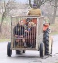 Сергій Гуржій фотография #46 (источник - https://vk.com/id48728005)