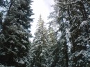 Гріша Гандера фотография #13 (источник - https://vk.com/id60301653)