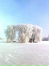 Вітя Копко фотография #15 (источник - https://vk.com/id198217024)