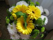 Фотография Колосковой Натальи