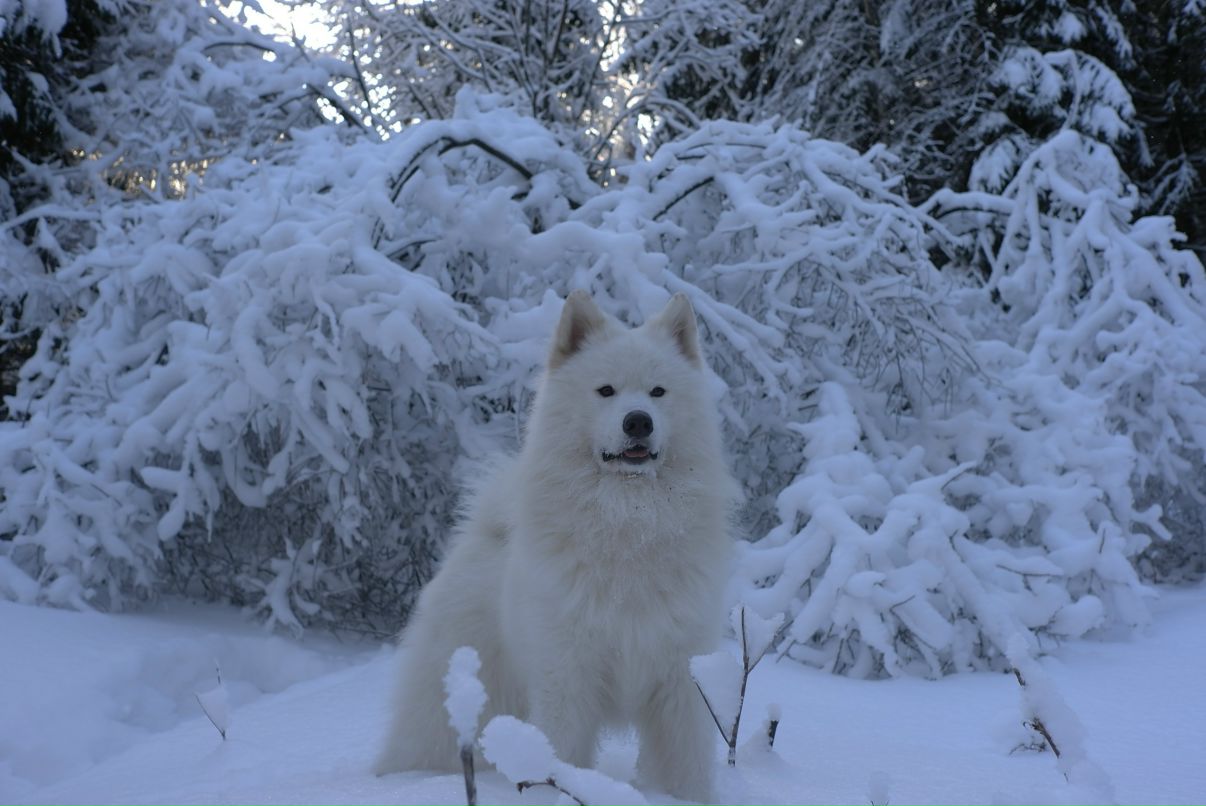 Александра Федосеева фотография #8