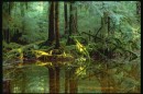 Діма Ковальчук фотография #4 (источник - https://vk.com/id82356598)