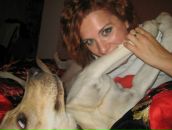 Тіамо Лабрадор фотография #3 (источник - https://vk.com/id47446151)