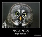 Фотография Кориковой Любови