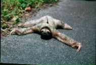 Фотография Аринина Виктория