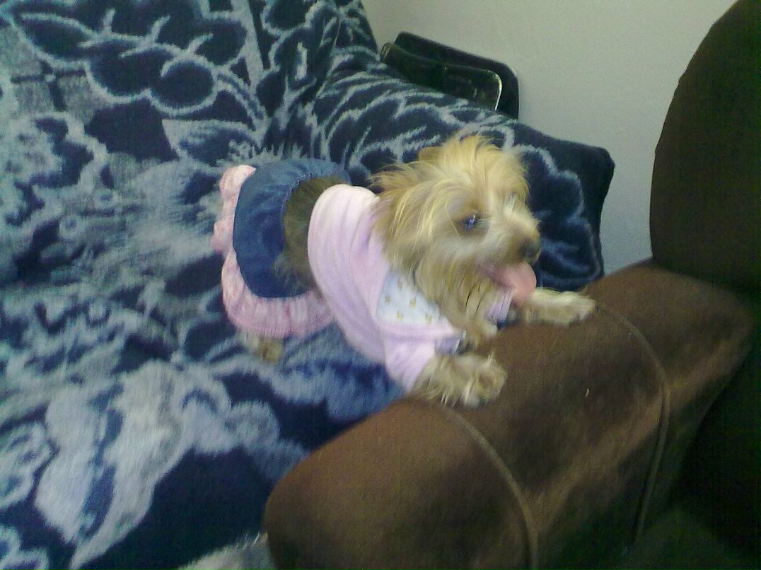 Andre Sha фотография #31