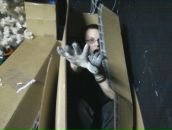 Фотография Симбирева Александра