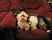 Фотография Чемакиной Екатерины