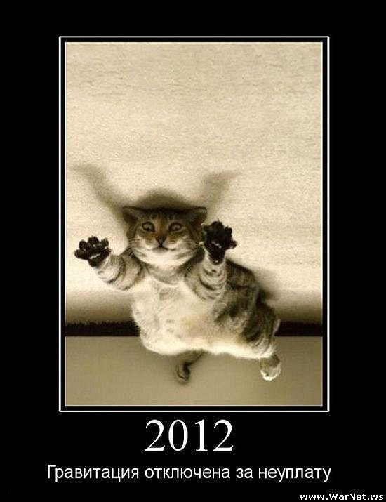 Александр Флоря фотография #46