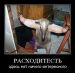  фотография #2