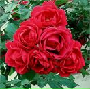 Олег Романів фотография #22 (источник - https://vk.com/id31708224)