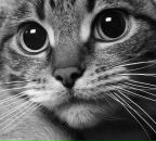 Фотография Бляблина Владимира