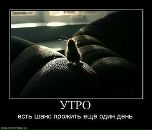 Фотография Лашковой-Шадовой Нины