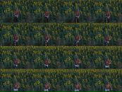 Вадім Козирев фотография #9 (источник - https://vk.com/id55411283)