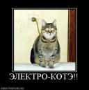 Сіроманець Патріот фотография #42 (источник - https://vk.com/id17582037)