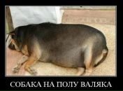 Фотография Вихарева Ивана