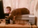 Кот =) фотография #4 (источник - https://vk.com/id89873718)