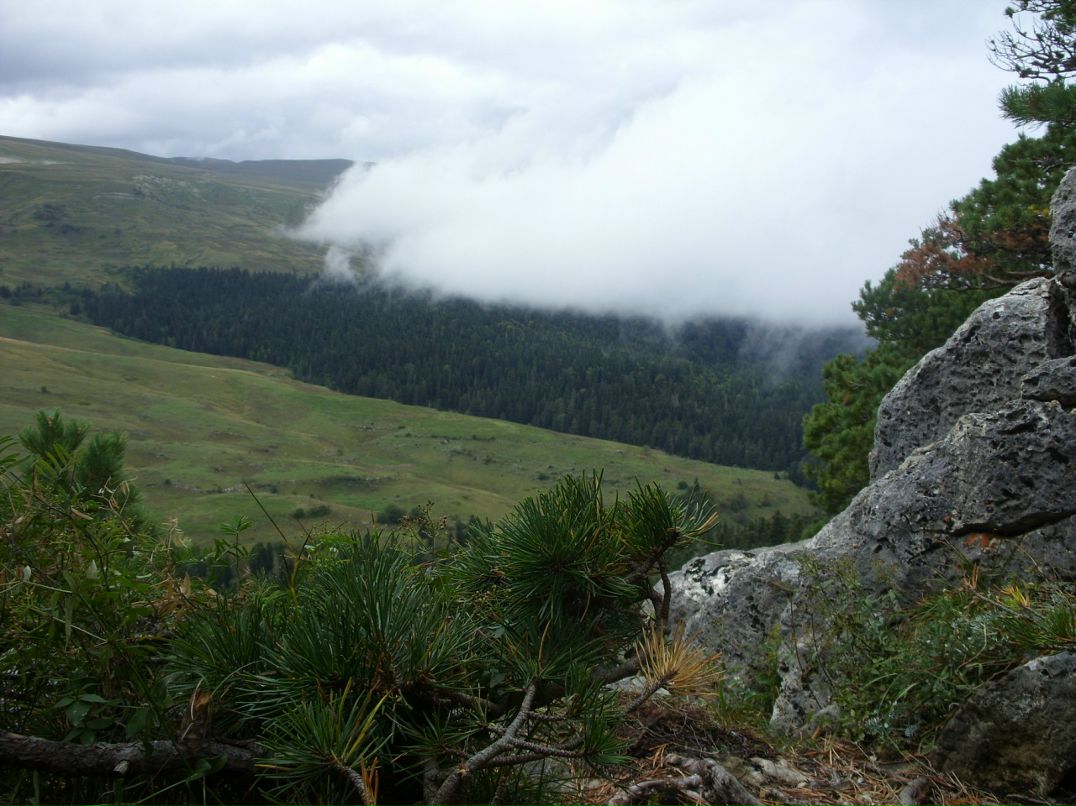 Алена Морева фотография #29