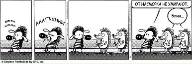 Павел Коваль фотография #28 (источник - https://vk.com/id69178)