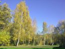 Іра Дмитрук фотография #41 (источник - https://vk.com/id65721709)