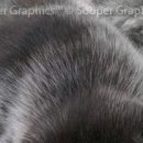 Каріно4ка♥ Шрамко фотография #37 (источник - https://vk.com/id147791993)