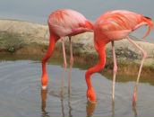 Фотография Коршевнюк Оксаны