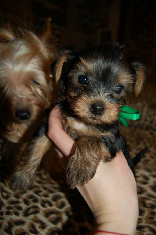 Натали Слепченко фотография #47