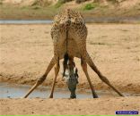 Фотография Носовой Любови