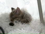 Валерій Матіїшин фотография #20 (источник - https://vk.com/id13193276)