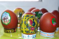 Фотография Мельника Вадима