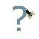 Фотография Третьякова Александра