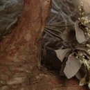 Василь Дмитрів фотография #36 (источник - https://vk.com/id98013424)